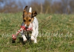 39 Ellie